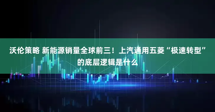 沃伦策略 新能源销量全球前三！上汽通用五菱“极速转型”的底层逻辑是什么