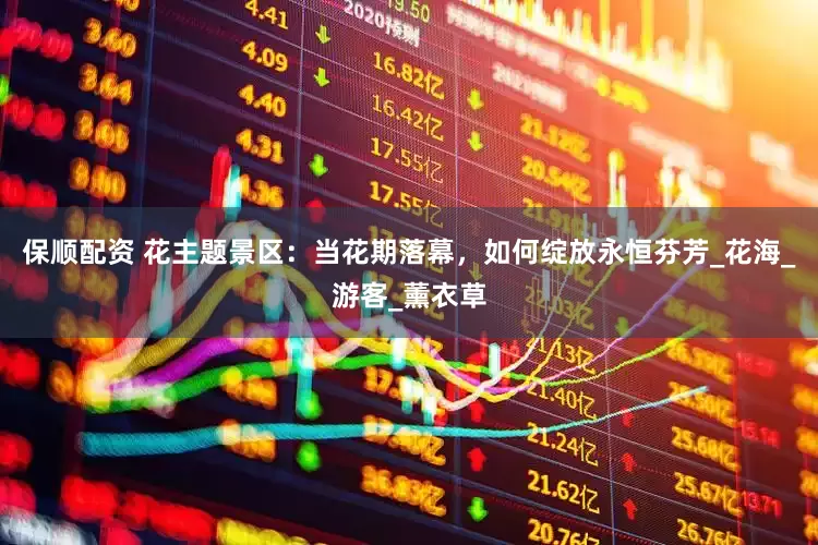 保顺配资 花主题景区：当花期落幕，如何绽放永恒芬芳_花海_游客_薰衣草